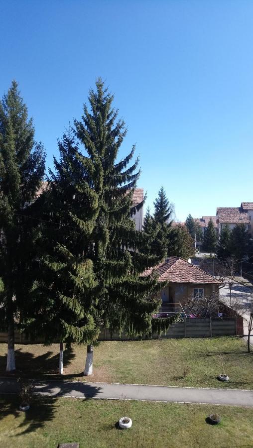 Simple And Comfortable Apartment Miercurea Ciuc Exterior foto