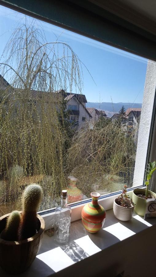 Simple And Comfortable Apartment Miercurea Ciuc Exterior foto